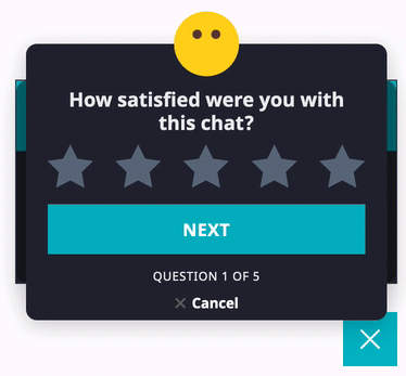 Feedback survey