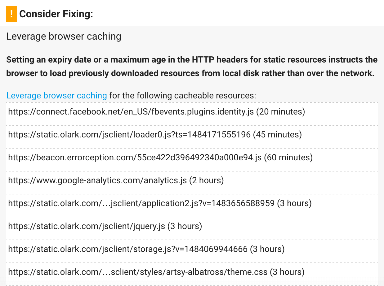 PageSpeed Insights browser caching